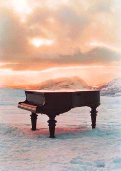 paley, piano, chopin